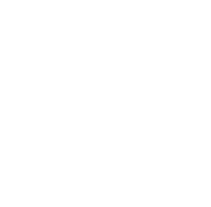 Ice Diamond Inc.